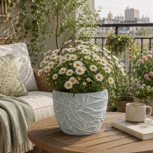 Expressive glazes add colour year-round