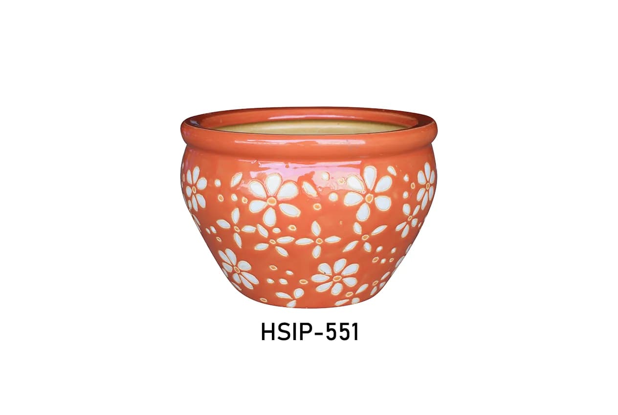 Đồ gốm sứ sặc sỡ (HSIP-551)