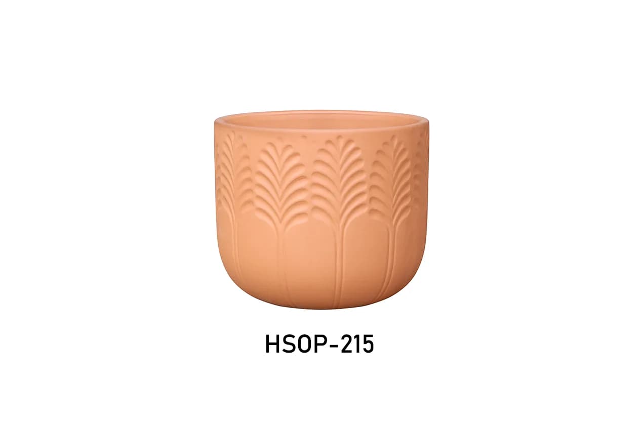 Terracotta pottery (HSTP-215) material detail 1